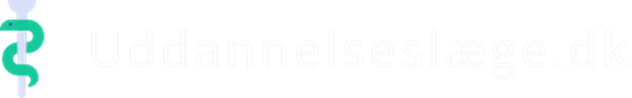 logo_ny